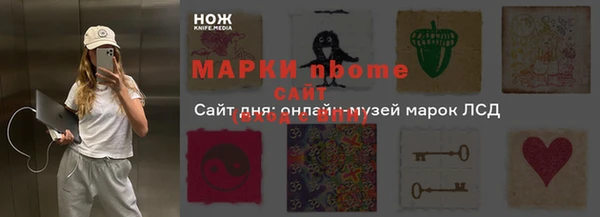 прущие грибы Балахна