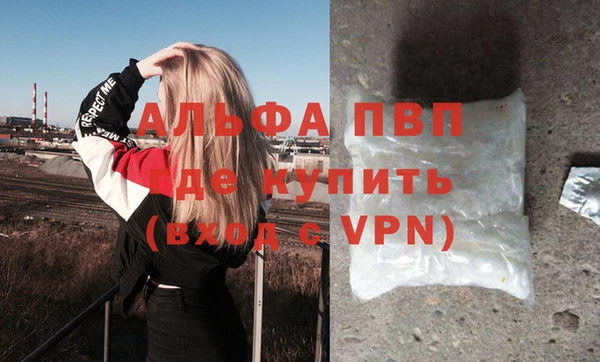 сатива Аркадак
