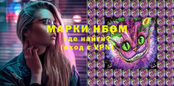 твердый Арсеньев