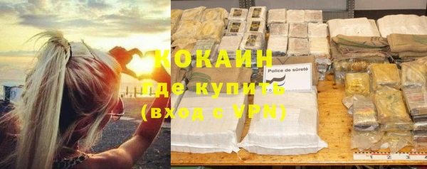 твердый Арсеньев