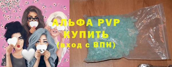сатива Аркадак