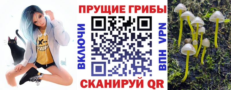 Псилоцибиновые грибы мицелий  Урень 